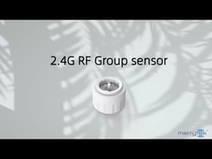2کنترل کننده شبکه بی سیم 4G مناسب برای لامپ های LED باریک عمر طولانی